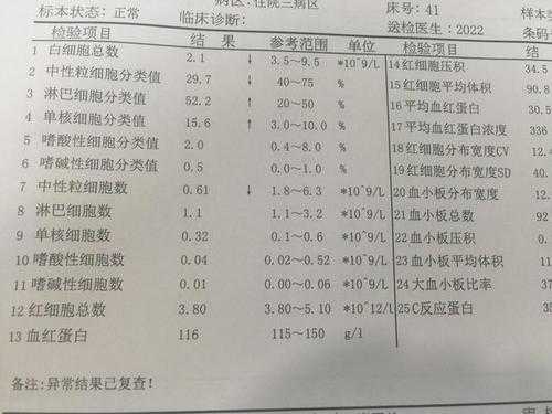 白细胞高对胎儿危害(孕妇血常规白细胞高的原因是什么?怎么办) 第1张 白细胞高对胎儿危害(孕妇血常规白细胞高的原因是什么?怎么办) 第1张