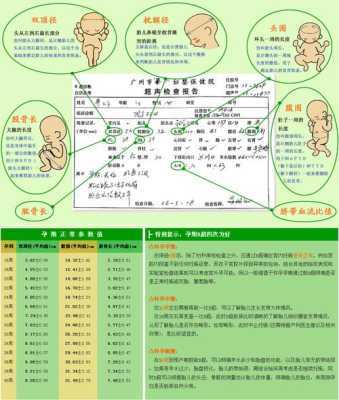 如何控制胎儿双顶径(双顶径和股骨长具体是什么意思) 第1张 如何控制胎儿双顶径(双顶径和股骨长具体是什么意思) 第1张