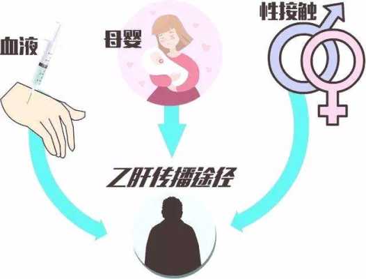 乙肝携带者会遗传吗,乙肝会遗传给胎儿吗知乎 第1张 乙肝携带者会遗传吗,乙肝会遗传给胎儿吗知乎 第1张