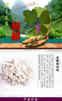 孕期可以吃葛粉吗(葛粉什么人不能喝) 第3张 孕期可以吃葛粉吗(葛粉什么人不能喝) 第3张