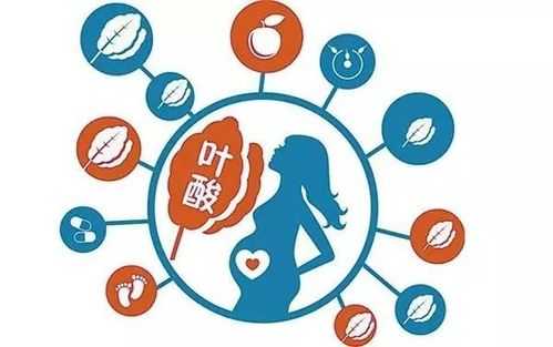 叶酸对胎儿有什么影响(缺少叶酸对胎儿有什么影响) 第2张 叶酸对胎儿有什么影响(缺少叶酸对胎儿有什么影响) 第2张