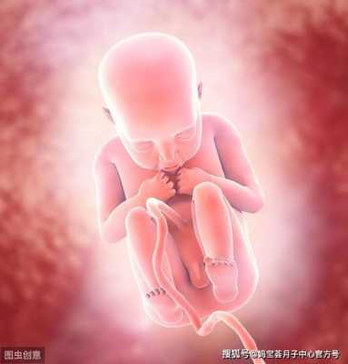 四个多月胎儿图片(4个月的孩子发低音的大声喊是怎么回事) 第2张 四个多月胎儿图片(4个月的孩子发低音的大声喊是怎么回事) 第2张