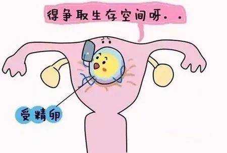 试管婴儿移植后输卵管部位疼是怎么回事,孕期输卵管痛怎么办 第2张 试管婴儿移植后输卵管部位疼是怎么回事,孕期输卵管痛怎么办 第2张