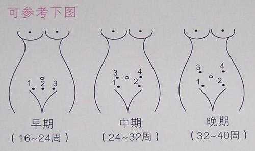 胎儿的胎心在哪个位置听,胎心是胎儿的什么部位跳动 第2张 胎儿的胎心在哪个位置听,胎心是胎儿的什么部位跳动 第2张