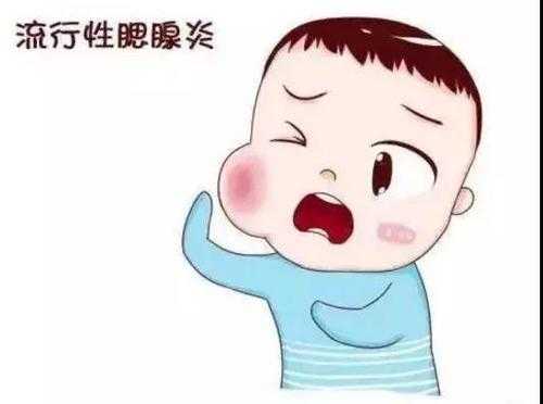 孕妇腮腺炎胎儿能要吗(孩子得了腮腺炎怎么治疗) 第2张 孕妇腮腺炎胎儿能要吗(孩子得了腮腺炎怎么治疗) 第2张