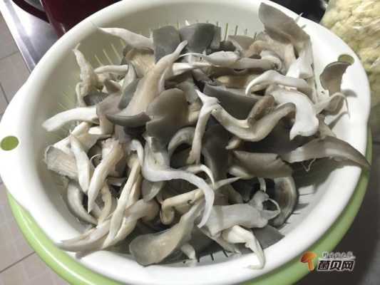 怀孕初期能吃平菇吗,孕妇吃平菇对胎儿好吗有影响吗 第2张 怀孕初期能吃平菇吗,孕妇吃平菇对胎儿好吗有影响吗 第2张