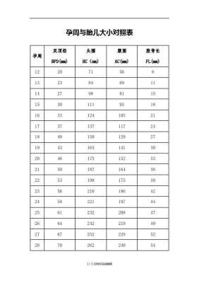 孕28周胎儿的正常值应该是多少?bpd~hc~fl~ac~,孕二十八周胎儿图片 第2张 孕28周胎儿的正常值应该是多少?bpd~hc~fl~ac~,孕二十八周胎儿图片 第2张