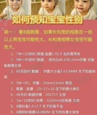 酸碱度看胎儿性别准吗(酸碱度决定胎儿性别吗) 第1张 酸碱度看胎儿性别准吗(酸碱度决定胎儿性别吗) 第1张