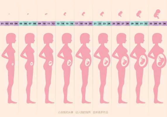 怀孕36周6天宝宝偏小3周会影响预产期吗,6个月后胎儿还会畸形吗正常吗 第1张 怀孕36周6天宝宝偏小3周会影响预产期吗,6个月后胎儿还会畸形吗正常吗 第1张