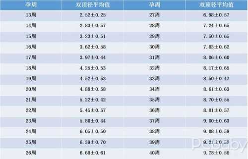 14周胎儿双顶径标准值(14周胎儿双顶径标准值是多少) 第2张 14周胎儿双顶径标准值(14周胎儿双顶径标准值是多少) 第2张
