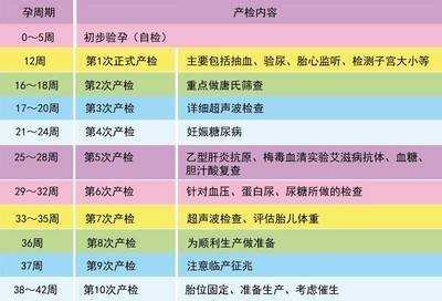 孕期32周检查什么（孕妇33周检查什么？一共检查几次）  第3张