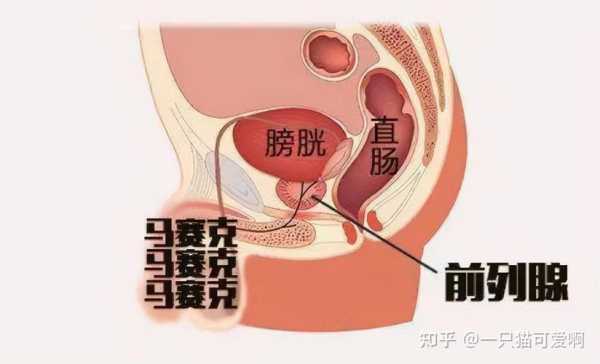 胎儿踢膀胱可爱图(胎儿踢膀胱正常吗) 第2张 胎儿踢膀胱可爱图(胎儿踢膀胱正常吗) 第2张