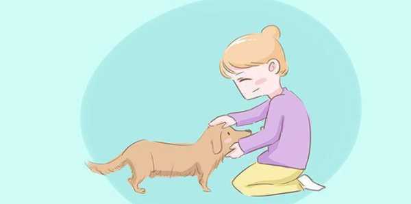孕期养狗有危害吗(孕期养狗有危害吗有影响吗) 第2张 孕期养狗有危害吗(孕期养狗有危害吗有影响吗) 第2张