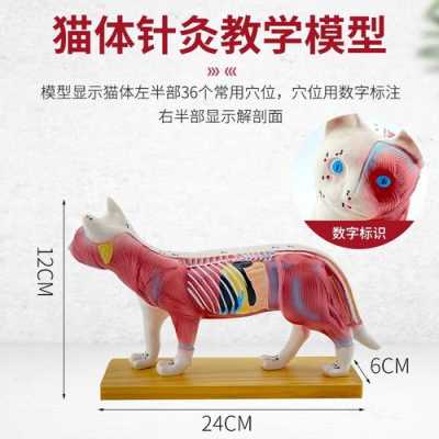 人的孕期是多少天(牛,羊,猪,狗,猫的孕期各是多少天) 第2张 人的孕期是多少天(牛,羊,猪,狗,猫的孕期各是多少天) 第2张