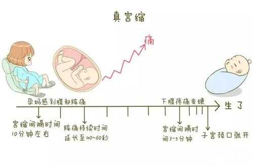 宫缩对胎儿有影响吗,总是宫缩对胎儿影响大吗 第1张 宫缩对胎儿有影响吗,总是宫缩对胎儿影响大吗 第1张
