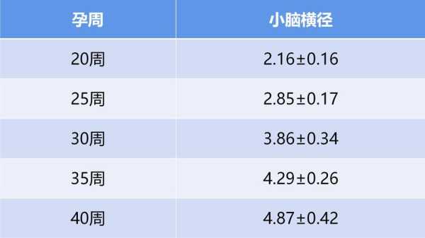 胎儿脑侧室正常值(胎儿脑侧室正常值范围) 第1张 胎儿脑侧室正常值(胎儿脑侧室正常值范围) 第1张