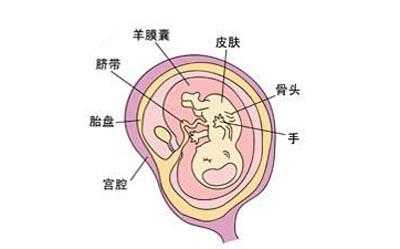 孕期胎盘位置会变吗(孕期胎盘位置会改变吗) 第1张 孕期胎盘位置会变吗(孕期胎盘位置会改变吗) 第1张