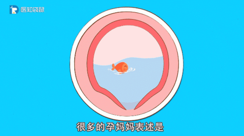 胎儿临产前胎动厉害(接近预产期了宫缩胎儿动的厉害正常吗) 第2张 胎儿临产前胎动厉害(接近预产期了宫缩胎儿动的厉害正常吗) 第2张