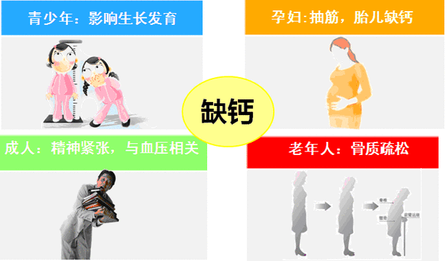孕期缺钙对胎儿的影响(孕期缺钙对胎儿的影响) 第2张 孕期缺钙对胎儿的影响(孕期缺钙对胎儿的影响) 第2张