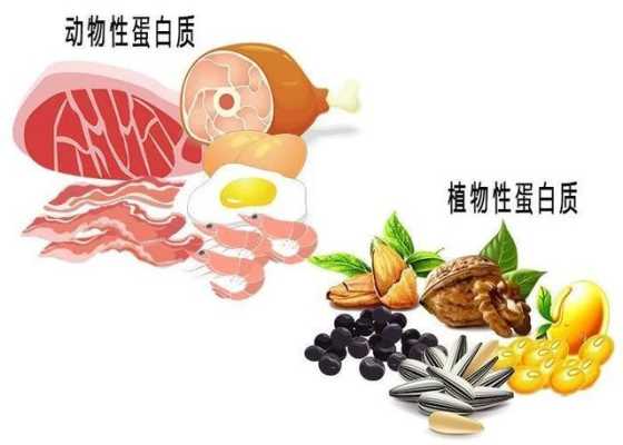 孕期吃蛋白粉好吗(孕期吃蛋白粉好吗) 第1张 孕期吃蛋白粉好吗(孕期吃蛋白粉好吗) 第1张
