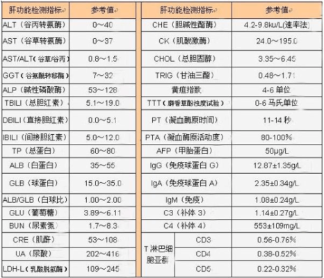 孕期肝肾功能检查项目(孕期肝肾功能检查项目有哪些) 第2张 孕期肝肾功能检查项目(孕期肝肾功能检查项目有哪些) 第2张