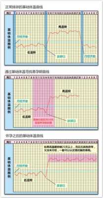 备孕期间体温变化(备孕期间体温变化图) 第2张 备孕期间体温变化(备孕期间体温变化图) 第2张