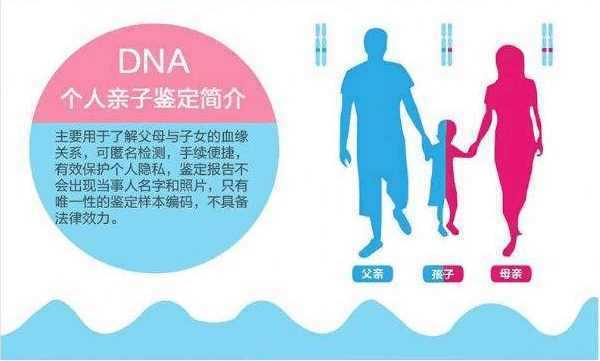 怎么做胎儿亲子鉴定（什么是亲子鉴定）  第3张