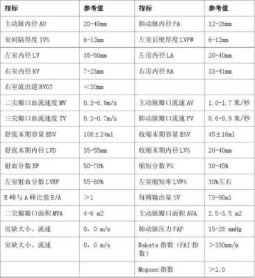 胎儿侧脑室正常高值(胎儿侧脑室正常高值是什么意思) 第2张 胎儿侧脑室正常高值(胎儿侧脑室正常高值是什么意思) 第2张