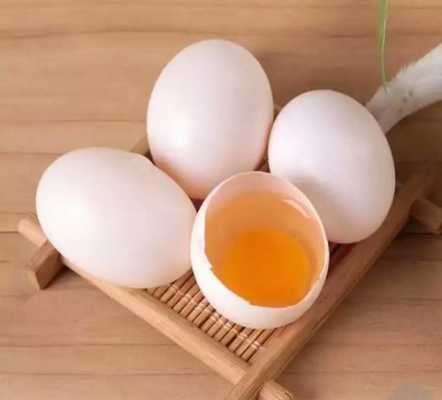 孕期吃鸽子有什么好处(孕妇一天吃几个鸽子蛋?鸽子蛋好还是鸡蛋好) 第1张 孕期吃鸽子有什么好处(孕妇一天吃几个鸽子蛋?鸽子蛋好还是鸡蛋好) 第1张
