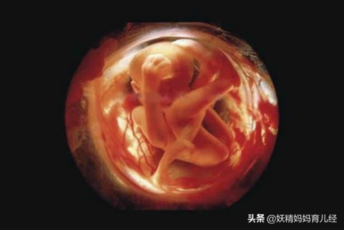 怀孕63天胎儿发育图片(怀孕63天胎儿发育图片大全) 第2张 怀孕63天胎儿发育图片(怀孕63天胎儿发育图片大全) 第2张