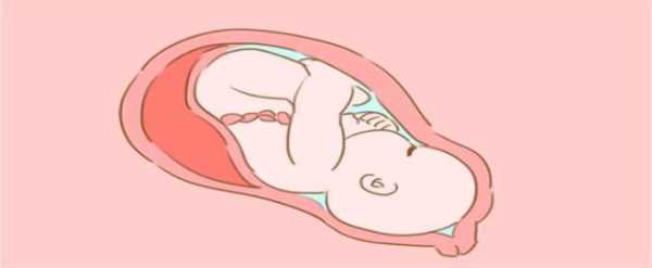 横位胎儿妈妈怎么睡(横位胎儿是什么姿势) 第1张 横位胎儿妈妈怎么睡(横位胎儿是什么姿势) 第1张