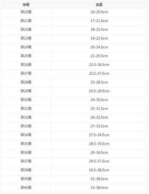 孕期33周胎儿发育指标(怀孕33周宫高正常吗) 第3张 孕期33周胎儿发育指标(怀孕33周宫高正常吗) 第3张