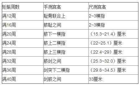 孕期33周胎儿发育指标(怀孕33周宫高正常吗) 第2张 孕期33周胎儿发育指标(怀孕33周宫高正常吗) 第2张