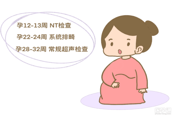 胎儿几厘米可以做nt（新吉翁nt多大）  第2张