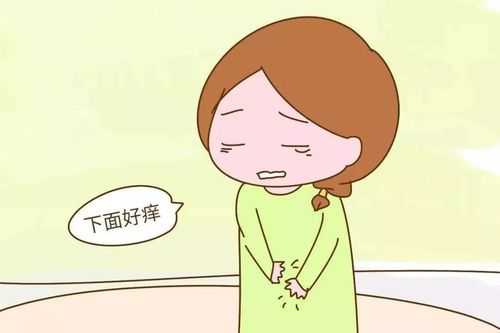 孕期下面痒什么原因, 第2张 孕期下面痒什么原因, 第2张