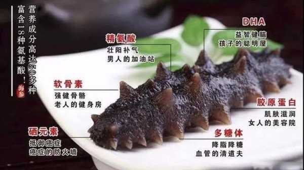 海参对胎儿有哪些好处(怀孕吃海参到底好不好) 第2张 海参对胎儿有哪些好处(怀孕吃海参到底好不好) 第2张