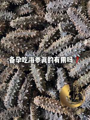 孕期能不能吃海参(怀孕期间能吃海参吗?我看同事买了好多海参,这么补可以吃的吗) 第2张 孕期能不能吃海参(怀孕期间能吃海参吗?我看同事买了好多海参,这么补可以吃的吗) 第2张