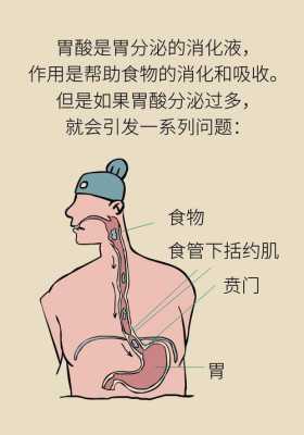 胃酸过多导致孕妇总烧心,该怎么快速缓解呀,孕期烧心吃什么能缓解一下 第2张 胃酸过多导致孕妇总烧心,该怎么快速缓解呀,孕期烧心吃什么能缓解一下 第2张