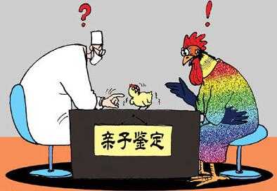孕期可以做亲子鉴定么（听说牙齿也可以做亲子鉴定是真的吗）  第2张