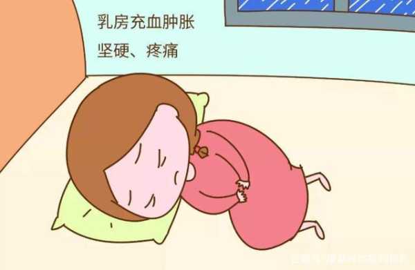 为什么孕期乳房会发烫(为什么孕期乳房会发烫疼痛) 第1张 为什么孕期乳房会发烫(为什么孕期乳房会发烫疼痛) 第1张