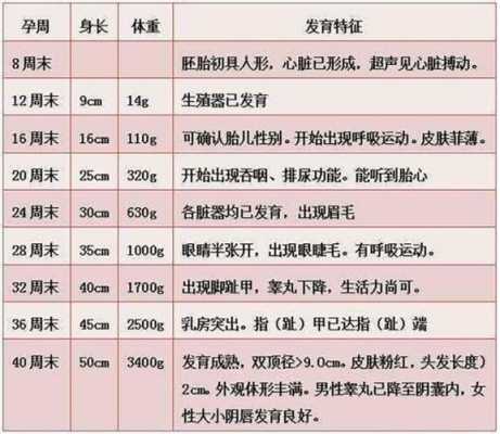 怀孕36周宝宝一般几斤,36周胎儿体重怎么计算公式  第1张