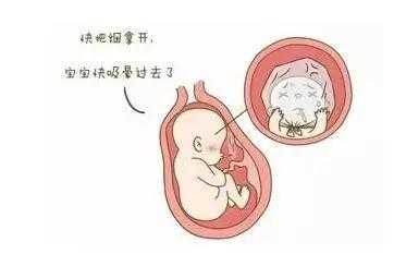 孕前吸烟对胎儿的影响(孕前吸烟对胎儿的影响大吗) 第1张 孕前吸烟对胎儿的影响(孕前吸烟对胎儿的影响大吗) 第1张