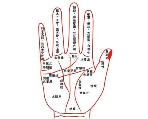 男女掌纹一样是什么意思,妊娠纹与胎儿性别吗有关系吗 第1张 男女掌纹一样是什么意思,妊娠纹与胎儿性别吗有关系吗 第1张