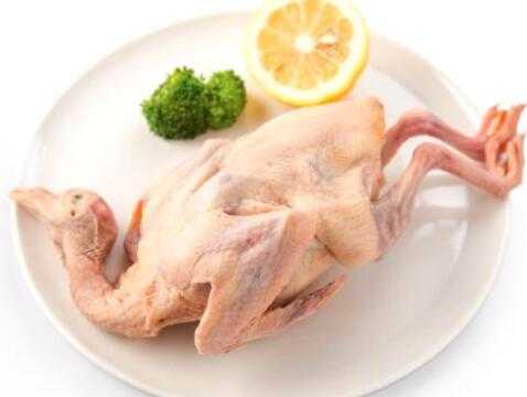 鸽子肉胆固醇高吗?孕妇能吃吗?会不会发胖,孕期怎么吃才不会胖呢 第1张 鸽子肉胆固醇高吗?孕妇能吃吗?会不会发胖,孕期怎么吃才不会胖呢 第1张