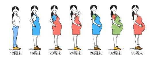 怀孕肚子太大怎么控制?方法是什么啊,孕期肚子太大怎么办呢 第1张 怀孕肚子太大怎么控制?方法是什么啊,孕期肚子太大怎么办呢 第1张