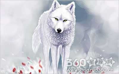 孕期梦见狼什么预兆(孕期梦见狼什么预兆) 第1张 孕期梦见狼什么预兆(孕期梦见狼什么预兆) 第1张