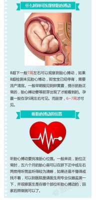 胎心是不是胎儿的心脏(胎心是不是胎儿的心脏跳动) 第2张 胎心是不是胎儿的心脏(胎心是不是胎儿的心脏跳动) 第2张