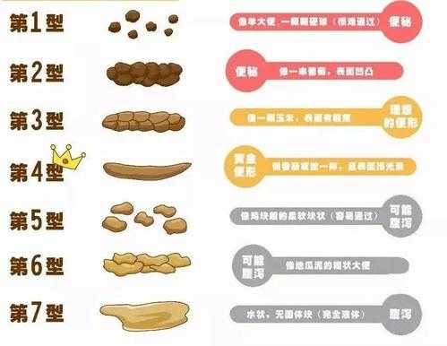 孕妇一天大便几次正常？为什么孕妇经常会大便不正常啊,孕期屎多是什么原因  第1张