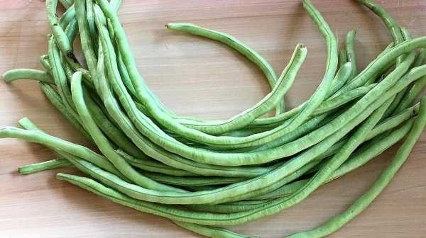 孕期可以吃长豆角吗(尿酸高能吃长豆角吗) 第3张 孕期可以吃长豆角吗(尿酸高能吃长豆角吗) 第3张