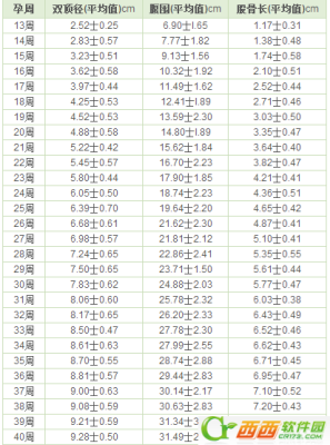 孕二十九周胎儿发育情况(29周早产健康吗?不知道胎儿的成活率有多高呢) 第1张 孕二十九周胎儿发育情况(29周早产健康吗?不知道胎儿的成活率有多高呢) 第1张